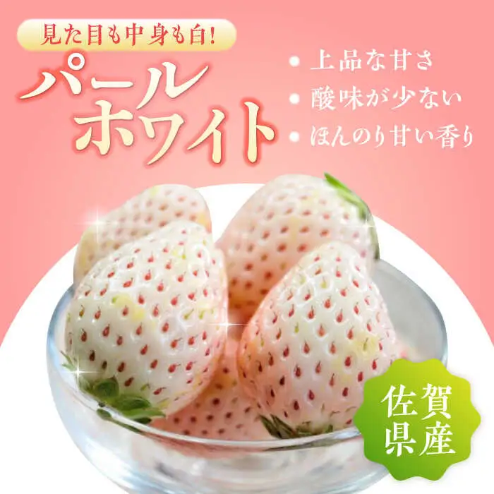 【2027年1月中旬より順次発送】佐賀県産 パールホワイト 約220g×2パック / いちご 果物 / 佐賀県 / かわさきいちご [41ASBJ003]