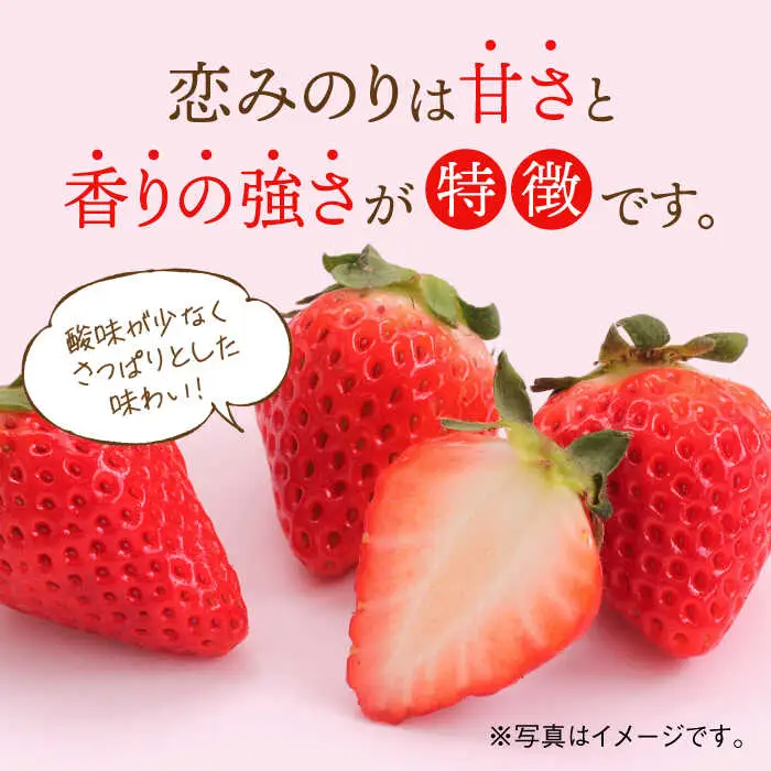 【2027年1月より順次発送】佐賀県産いちご 恋みのり 220g×2パック / 佐賀県 / 鐘ヶ江農園 [41ASBK001]