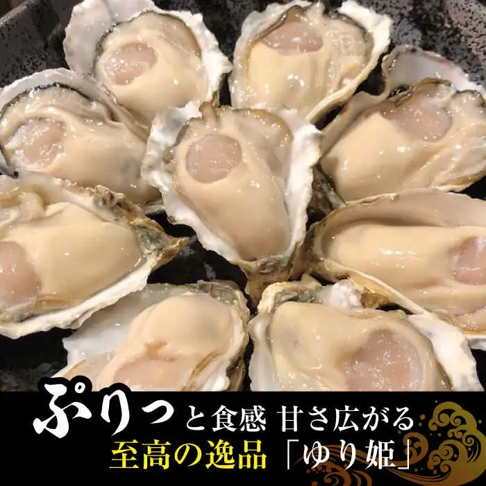 【2027年1月以降発送】竹崎産 ブランド生牡蠣「ゆり姫」3kg（ナイフ付き） / 牡蠣 / 佐賀県 / 宗徳丸 [41ATAF003]