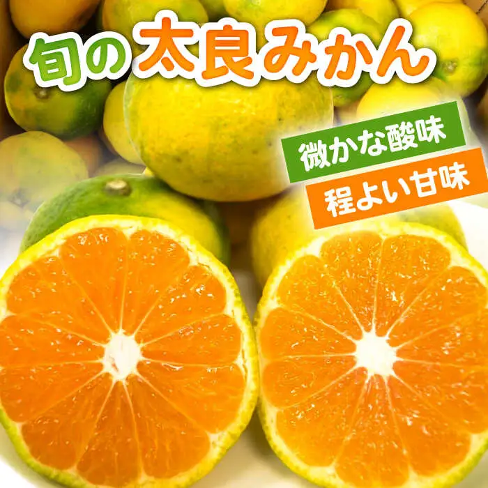 【2026年9月中旬以降発送】早熟みかん 計3kg（2.6kg＋400g傷み保証分） / みかん 柑橘 / 佐賀県 / 山本農園 [41ATBT001]