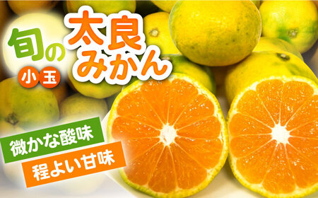 【2026年9月中旬以降発送】★小玉★早熟みかん 計3kg（2.6kg＋400g傷み保証分） / 佐賀県 / 山本農園 [41ATBT005]