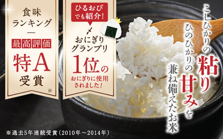 〈令和7年度産米〉 【全12回定期便】 森のくまさん 無洗米 10kg（5kg×2袋）【株式会社 農産ベストパートナー】無洗米定期便 無洗米定期 お米定期 お米定期便 熊本 令和7年産 [ZBP082]
