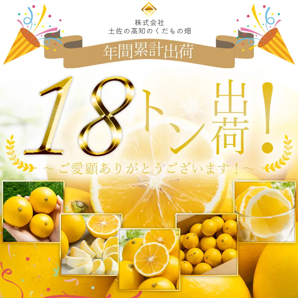 【2027年出荷分】日向夏 ハウス小夏 2.5kg(家庭用) 日向夏 高知県産 kd-0029