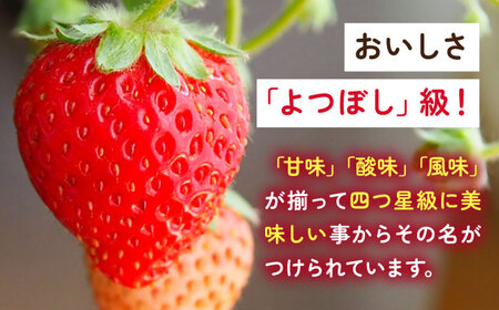 【2027年1月以降順次発送】よつぼし（220g×2パック） / 佐賀県 いちご 苺 いちご / 岸川農園 [41ASAG038]