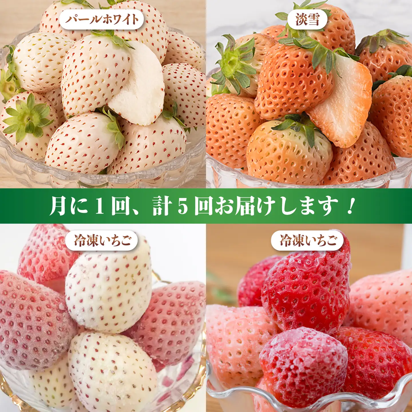 【全5回定期便】白いちご2種と冷凍いちご / いちご イチゴ 苺 果物 フルーツ 定期便 / 佐賀県ふるさと納税 [41AAZZ004]