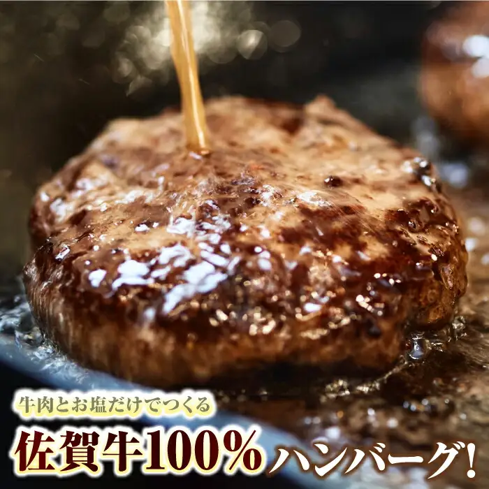 佐賀牛100％ハンバーグ4個と赤身ステーキ300g [41ASAA090]