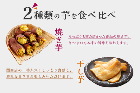 【期間限定】 紅はるか 食べ比べセット（焼き芋3kg・干し芋660g）関商店 焼芋 やきいも 焼いも ほしいも 干芋 干しいも べにはるか ベニハルカ 食べくらべ 62-B ＜2027年4月20日まで受付＞