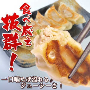 ぎょうざ 10個入り × 5パック 自家製 冷凍 ぎょうざ