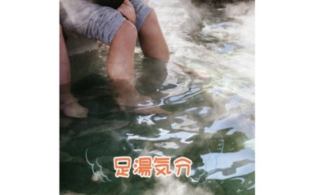 クロッツやわらか湯たんぽ/足湯気分の両足タイプ_2014Z