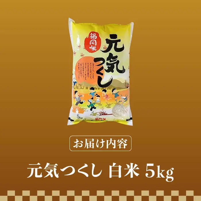 【令和7年産】福岡県産ブランド米「元気つくし」白米 5kg【2025年11月以降順次発送】 [ABDD001]