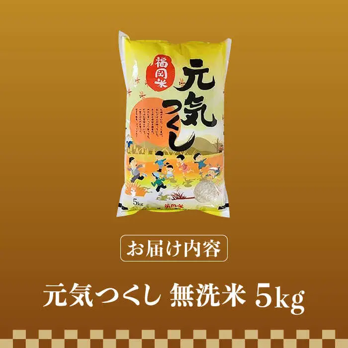 【令和7年産】福岡県産ブランド米「元気つくし」無洗米 5kg【2025年11月以降順次発送】 [ABDD002]