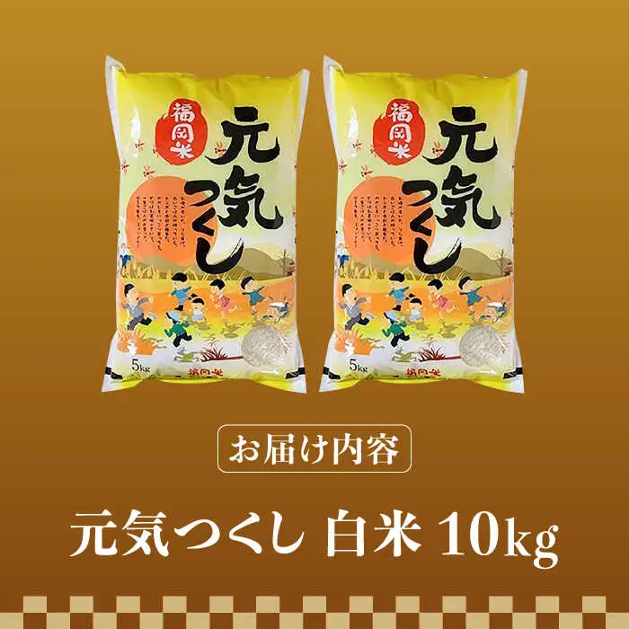 【先行予約】【令和7年産】福岡県産ブランド米「元気つくし」白米 10kg (5kg×2袋)【2025年11月以降順次発送】 [ABDD003]