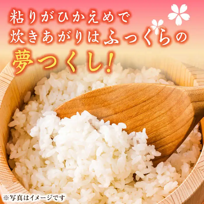 【先行予約】【令和7年産】福岡県産ブランド米「夢つくし」無洗米 5kg【2025年9月以降順次発送】 [ABDD008]