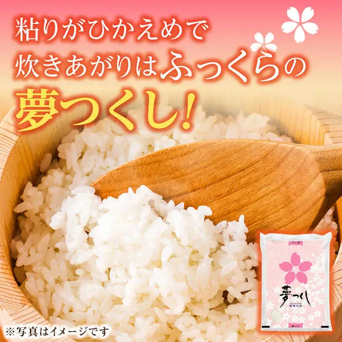 【先行予約】【令和7年産】福岡県産米食べ比べ「夢つくし」と「元気つくし」セット 無洗米 計20kg【2025年11月以降順次発送】 [ABDD016]