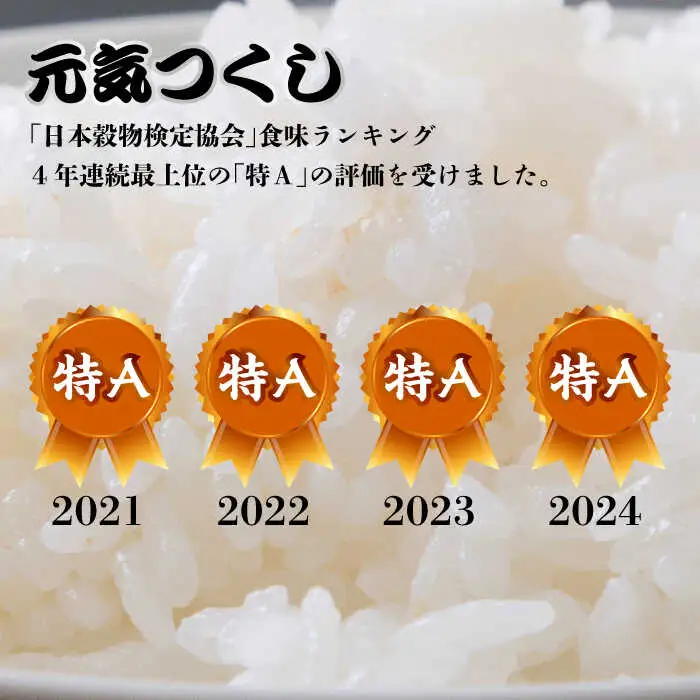 米 【特A】「元気つくし」 5kg×2袋 [10kg] [白米] [ABDF030] 米 白米 精米 ご飯 ごはん こめ コメ