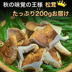 【先行予約】京都丹波鶏と松茸すき焼きセット すき焼き