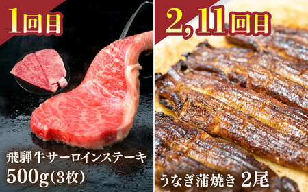 うなぎと飛騨牛と日本酒 贅沢 定期便 [TDA020] 焼肉 TDD001