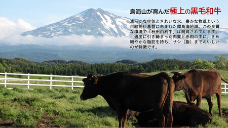 国産黒毛和牛 秋田由利牛ハンバーグ 150ｇ×3個 (ソース付き )