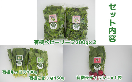 FV023_有機野菜のサラダセット