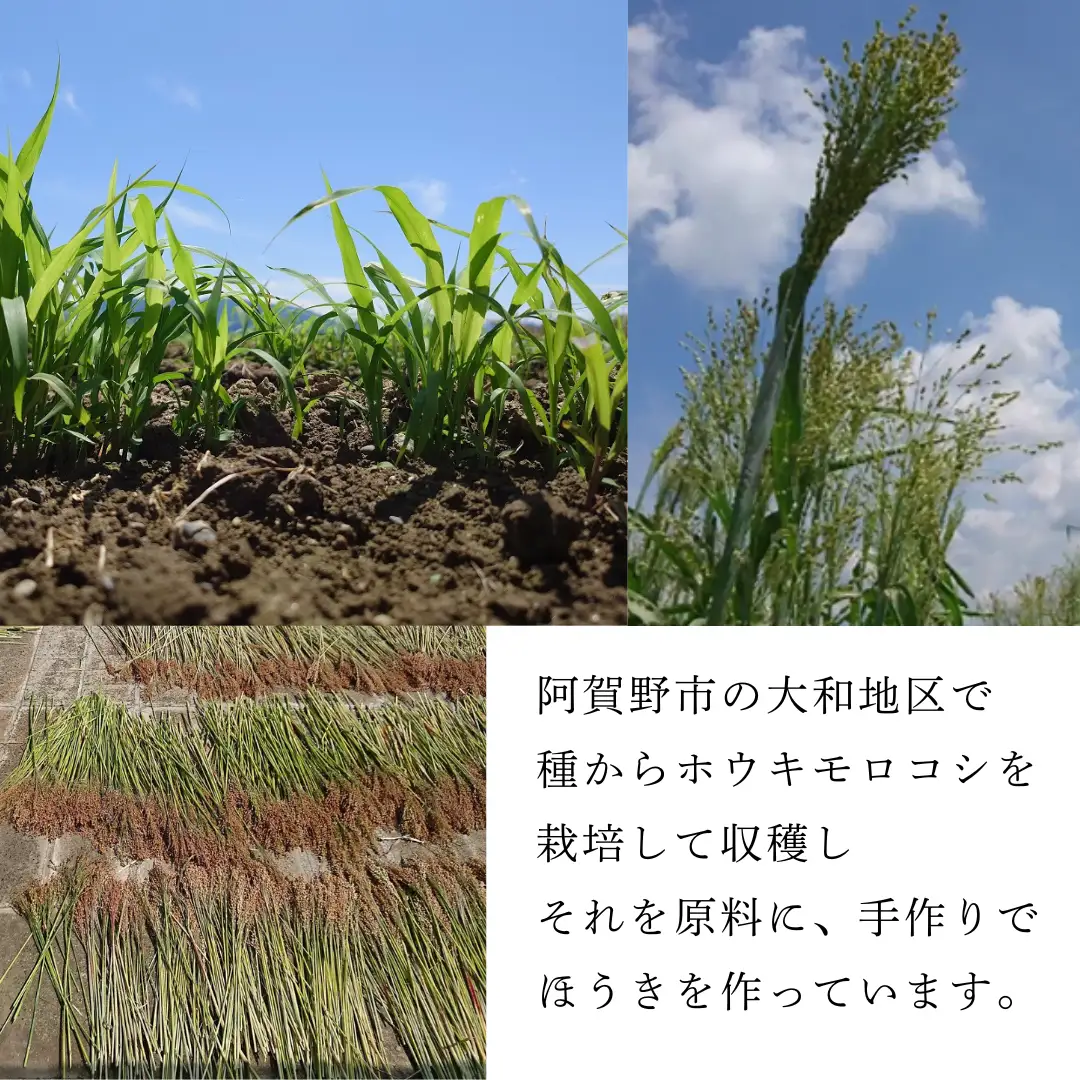 種から栽培した国産ホウキモロコシで手作りした「大和箒」ほうき ホウキ 箒 手作り 国産 新潟県 阿賀野市 2Y01027