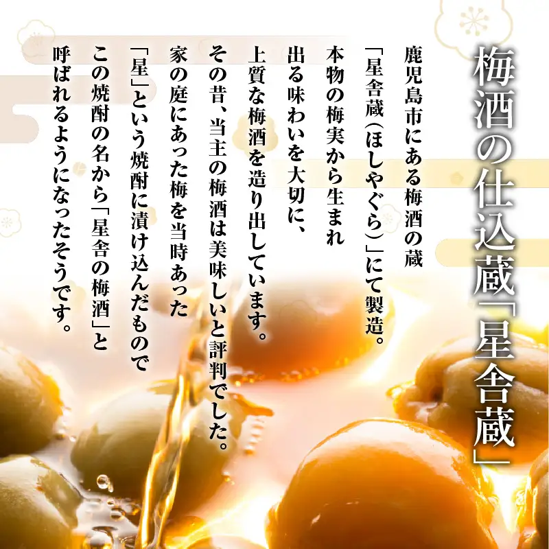 上等 梅酒 ・ 上等 梅酒 知覧茶 中瓶 2本 セット K204-003