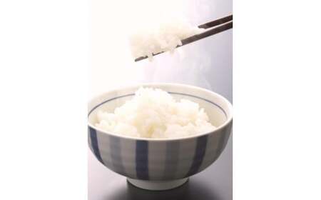 米 にじのきらめき 和歌山県産 5kg（2026年産） 産地直送 米 こめ ご飯 ごはん ※2026年9月以降準備が出来次第順次発送 （お届け日指定不可）【sml115H】