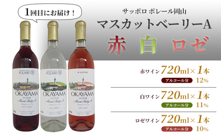 ワイン 飲み比べ 定期便 2ヶ月 サッポロ 岡山 ワイナリー お酒 ぶどう ワイン 