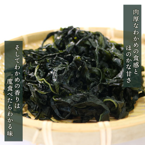 塩蔵わかめ 120g 5袋 わかめ 塩蔵 海鮮 海藻 魚貝類 魚介類 小分け みそ汁 スープ 酢の物 岩手県 大船渡市