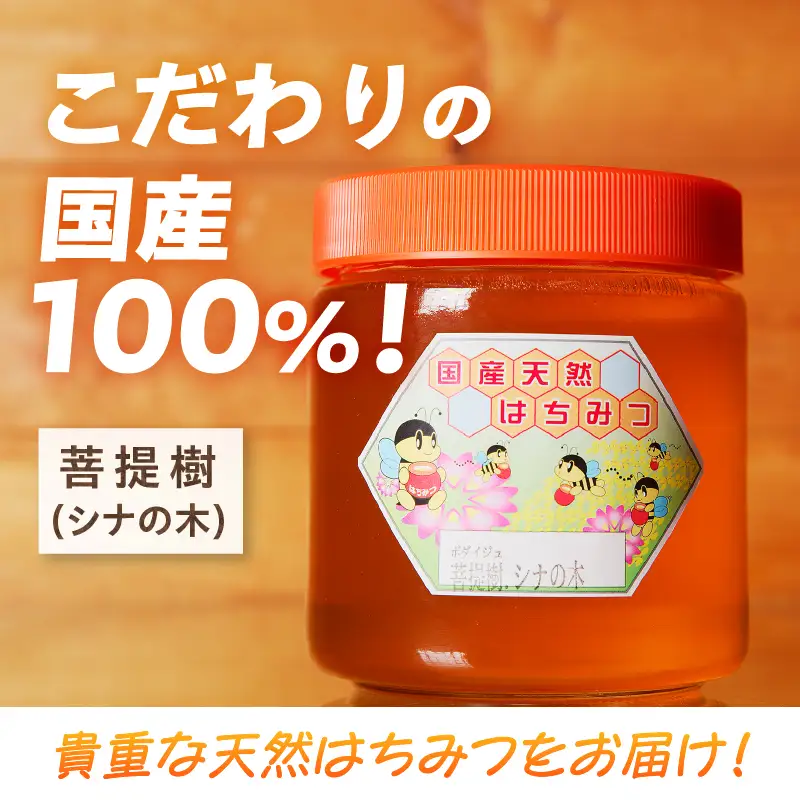 【北海道滝川産】高見養蜂場の純粋はちみつ(菩提樹、シナの木600g×1本)｜国産 日本製 天然 無添加 純粋 非加熱 生はちみつ ミツバチ ハニー 栄養 健康 美容 ビタミン ミネラル 抗生物質 プロポリス アミノ酸 濃厚 ギフト 贈答