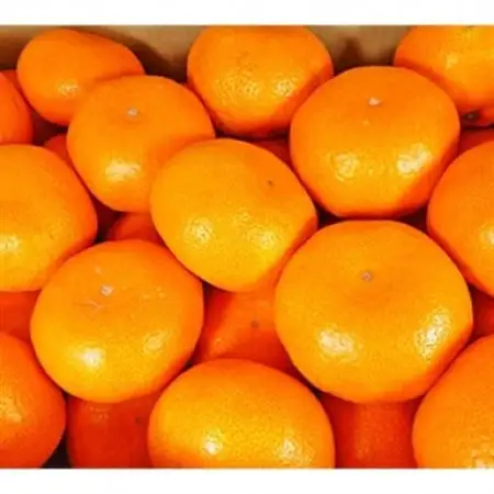 厳選 糖度12度以上!温州みかん「ゆらっ子」　5kg(サイズS～L)【2026年12月～順次発送】【1218291】