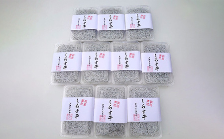 しらす干し　180g×10パック（茨城県共通返礼品：北茨城市） No.463