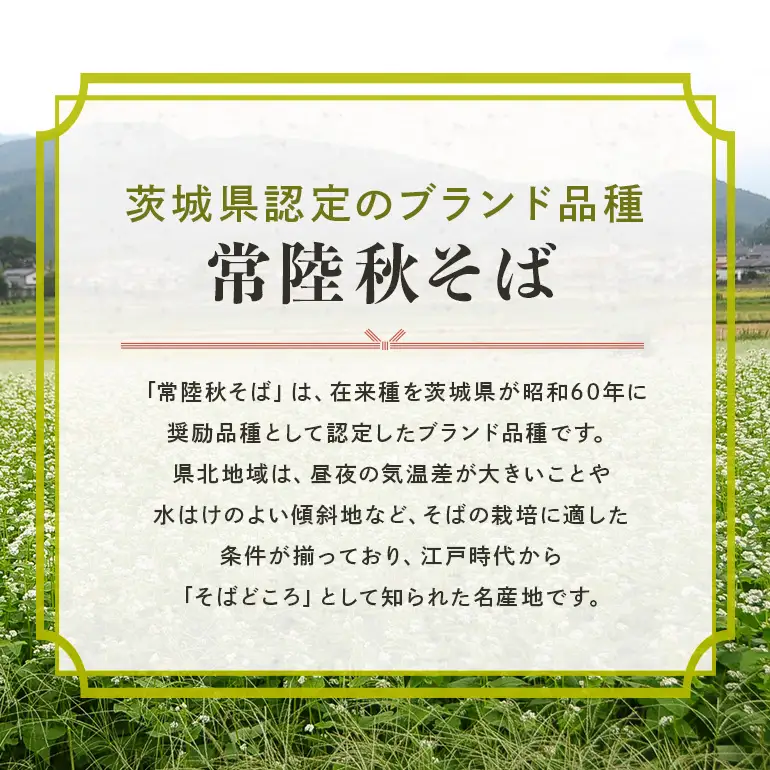 ＜お中元のし付き＞八割乾麺セット 茨城県産 常陸秋そば 石臼挽きそば粉使用 200g×8袋入り 16人分 そば 蕎麦 乾麺 茨城県産 国産 農家直送 （茨城県共通返礼品 / 桜川市） 61-B