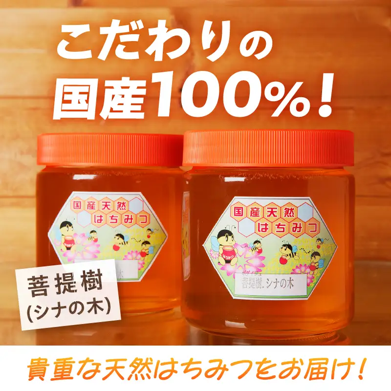 【北海道滝川産】高見養蜂場の純粋はちみつ(菩提樹、シナの木600g×2本)｜国産 日本製 天然 無添加 純粋 非加熱 生はちみつ ミツバチ ハニー 栄養 健康 美容 ビタミン ミネラル 抗生物質 プロポリス アミノ酸 濃厚 ギフト 贈答