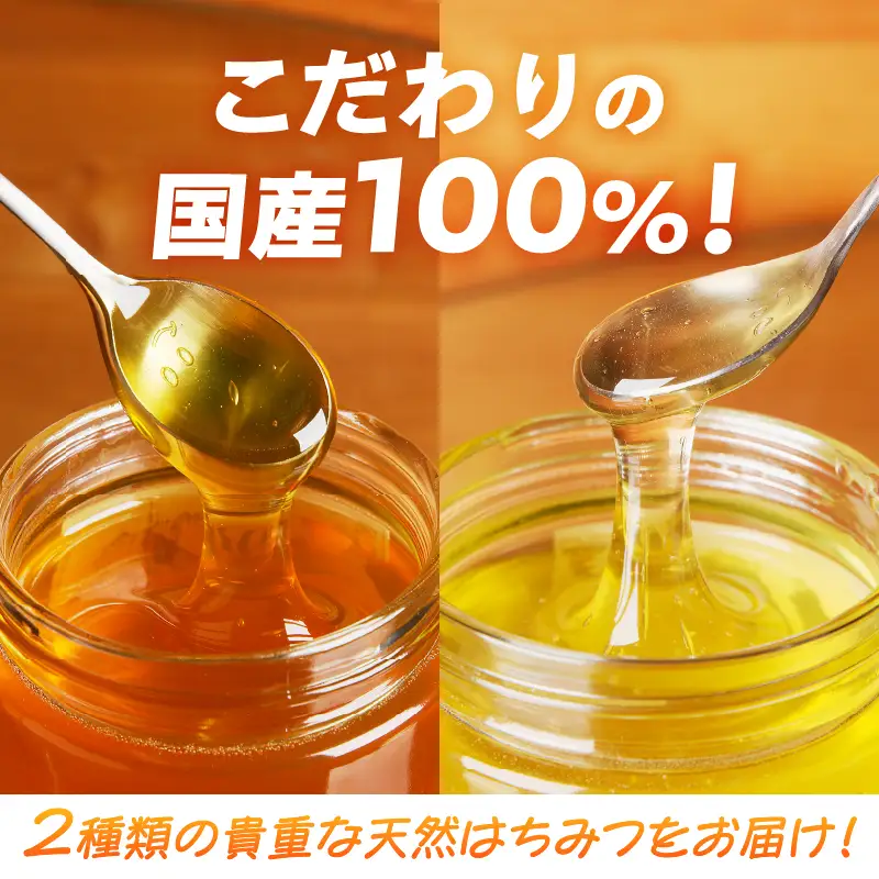 【北海道滝川産】高見養蜂場の純粋はちみつセット(アカシヤ&菩提樹、シナの木600g×各1本 計2本)｜国産 日本製 天然 無添加 純粋 非加熱 生はちみつ ミツバチ ハニー 栄養 健康 美容 ビタミン ミネラル 抗生物質 プロポリス アミノ酸 濃厚 ギフト 贈答