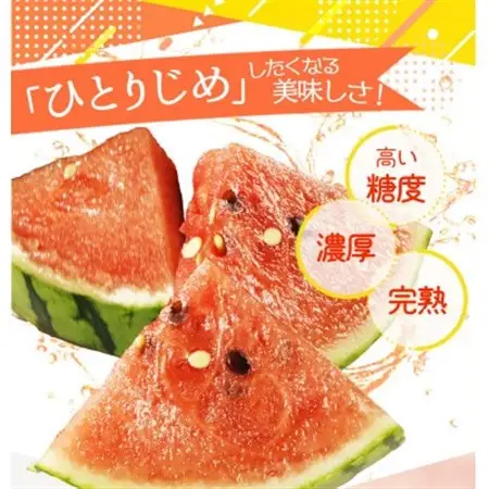 【2027年6月中旬より順次発送予定】紀州和歌山産小玉スイカ「ひとりじめ」2玉【1421261】