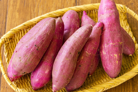 新物 令和8年産 南九州の名産品「熟成紅はるか」5kg（無選別）[さつまいも 薩摩芋 焼き芋用 蒸かし芋 ワンストップオンライン] TF0719-P00061