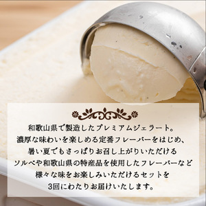 【定期便 全3回 毎月お届け】 和歌山のプレミアムジェラート_V20-T07