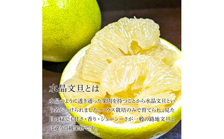 土佐市産 水晶文旦 約5kg (7?8玉） 高知県土佐市 【土佐労働者協同組合】 [BQBU004]
