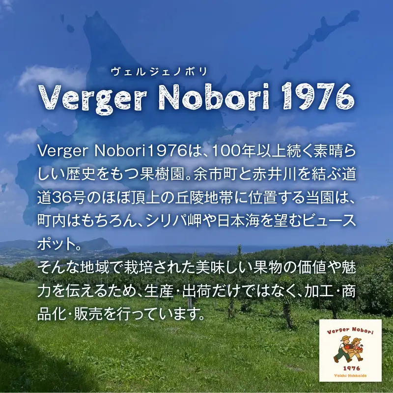 【2027年産 先行予約】＜北海道余市産＞さくらんぼ「紅秀峰」（M～2Lサイズバラ詰め）400g×2パック_Y103-0068