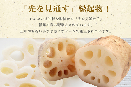 【 冬季限定 贈答用 】 野口誠の蓮根 約4kg れんこん レンコン 蓮根 野菜 国産 期間限定 57-B