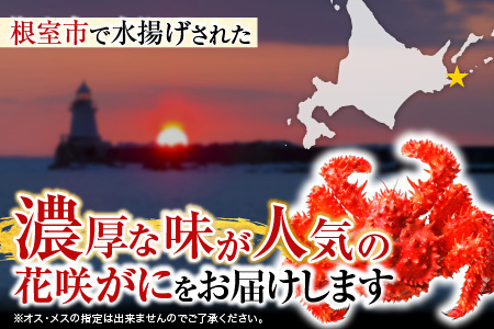 【北海道根室産】花咲かに500g前後×2尾 A-19010