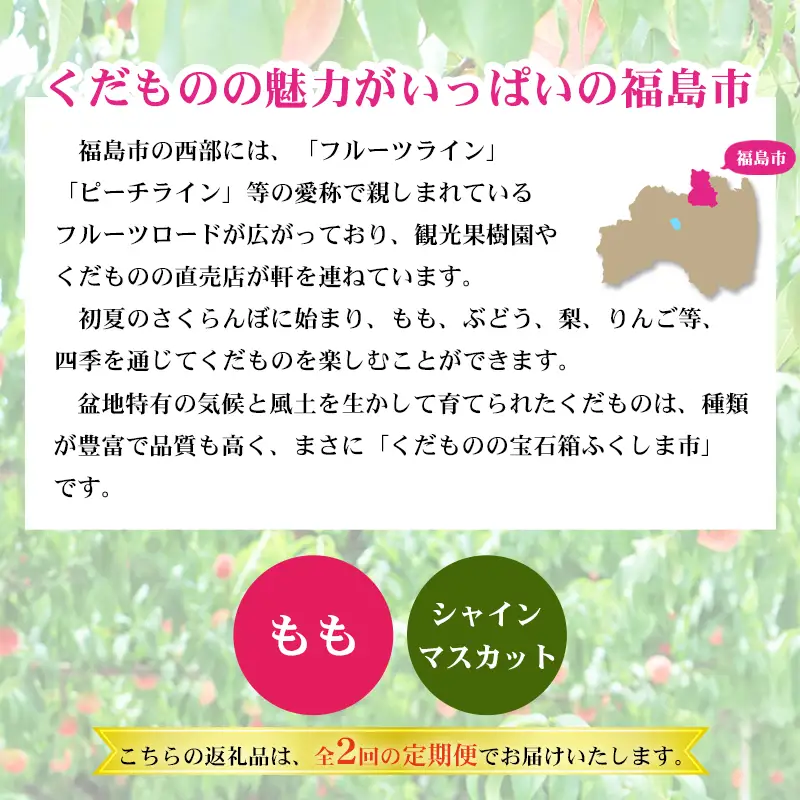 No.2767福島のフルーツ定期便２種【2026年発送】　桃 シャインマスカット