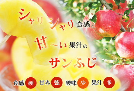 No.2770 ふくしまのサンふじりんご　約1kg 【2026年度発送】