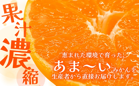 みかん 手選別有田みかん 3kg ※11月下旬～翌年1月中旬頃順次発送予定 【hdm004A】