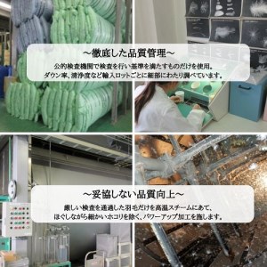 羽毛布団 肌ふとん シングル カナダホワイトマザーグースダウン95% 布団 エモシオン