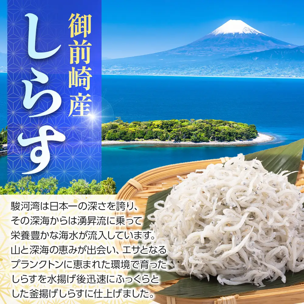 御前崎産　特選釜揚げしらす【計700g (70g×10袋)】