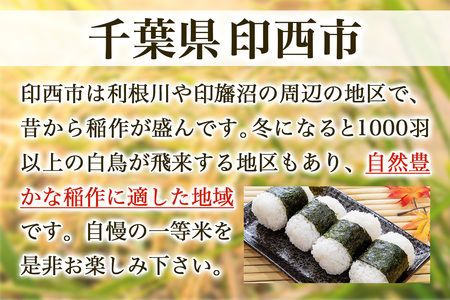 新米 コシヒカリ 令和7年産 印西市産 美味しいごはん 8kg こしひかり [0519]