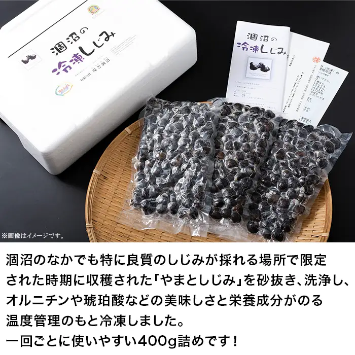 374 しじみ 約1.2kg 冷凍 小分け 約400g × 3袋 涸沼の大和しじみ
