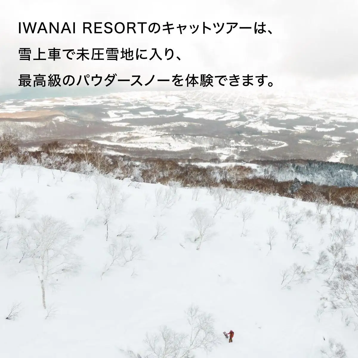 IWANAI RESORT【Cat tour】ticket 1名様  F21H-416