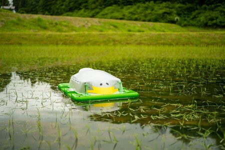 【令和6年度産】アイガモロボット米 秘境奥島根弥栄つや姫 5kg 米 お米 つやひめ お取り寄せ 特産 精米 白米 ごはん ご飯 コメ 新生活 応援 準備【090_1877】